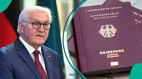 Full list: 31 countries whose citizens can live and work in Germany after joining their spouses