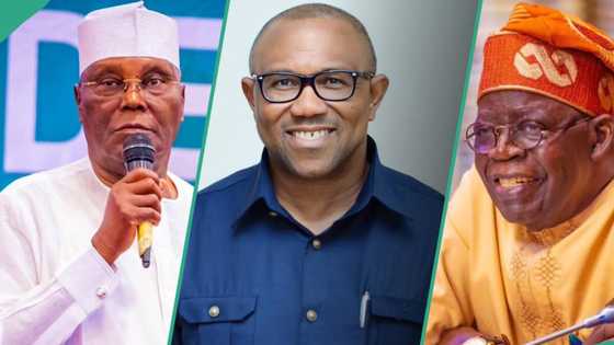 "Tinubu ya dara su", Jigon APC ya fadi yadda Najeriya za ta kasance a hannun Atiku da Obi