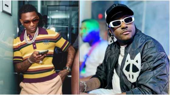 "Wizzy dey stingy with gbedu": Hilarious Reactions as old unreleased song of Terry G and Wizkid emerges online