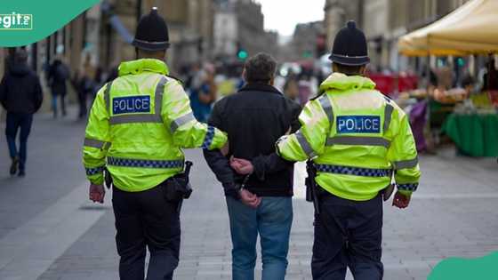 Nigerian students receive prison sentences in UK following violent clash with knives