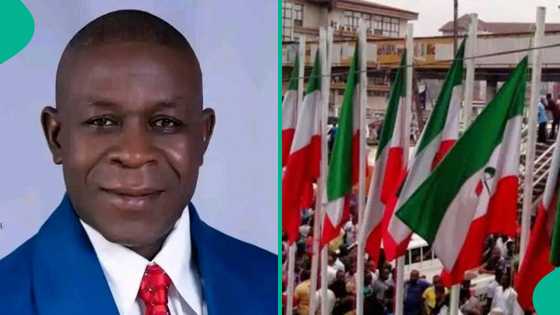 Manyan ƴan adawa na shirin haɗaka, ɗan majalisa ya sauya sheƙa zuwa jam'iyyar PDP