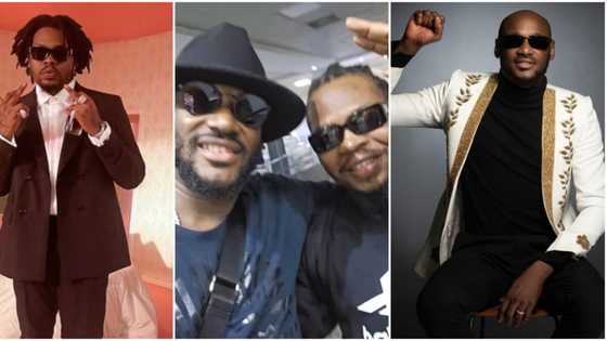 2Baba praises Olamide after Asake's stellar UK concert: "Rugged and super talented African Giant