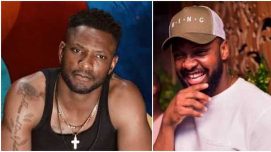 BBNaija: Reactions as Cross audaciously tackles Big Brother during diary session, requests for chicken