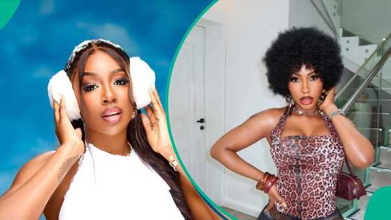 Tolanibaj shares reason ex-housemates shunned BBNaija reunion, Mercy Eke reacts, names her price