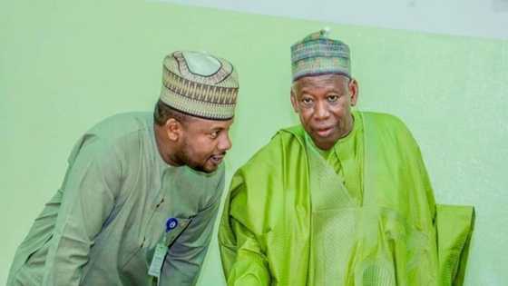 Yanzu-yanzu: Ganduje ya sallami hadiminsa Salihu Tanko Yakasai, Dawisu