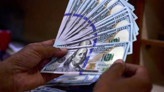 N920/$1: Naira Ta Gagara Rike Dala a Kasuwar Canji, Kudin Najeriya Ya Koma Tangadi