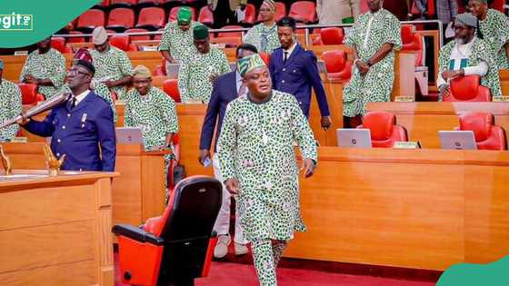Breaking: Suspended Lagos LG chairman writes assembly, seeks lawmakers' forgiveness
