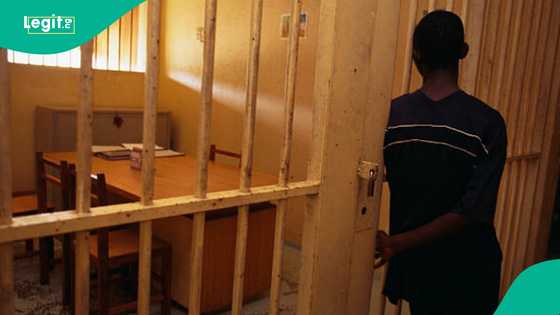 Shari’a court order: Man gets 50 strokes of cane, sent to Islamiyya school over trespass in Kano