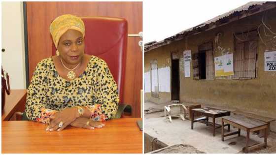 3 killed, senator escapes by whiskers as by-election turns violent in Ekiti