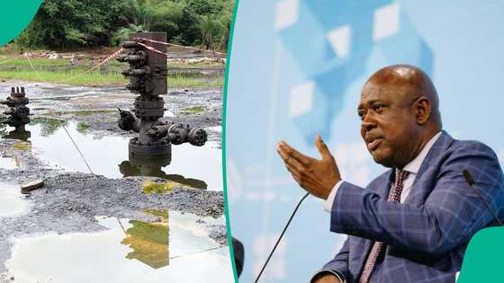 FG sends strong warning to oil firms with undeveloped blocks