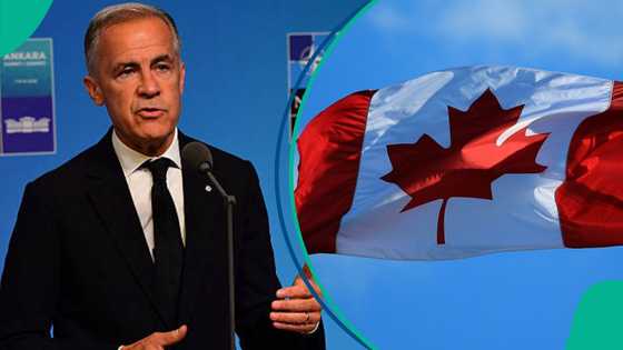Canada announces fresh immigration update: 3 key things applicants should know about Super Visa