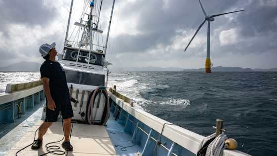 Floating wind power sets sail in Japan's energy shift