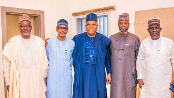 'Buhari's family member who left APC, plans to return to party', Kashim Shettima reveals