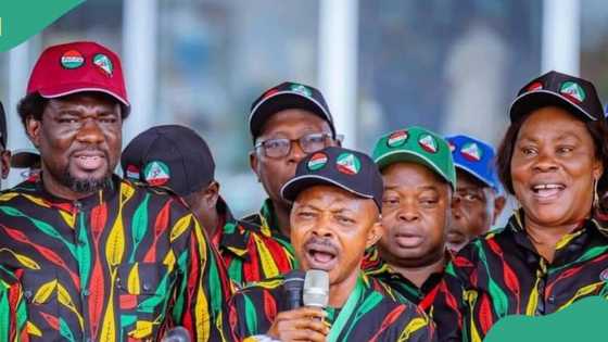 'No more N70K,' Labour pushes for minimum wage increase in 2025, details emerge