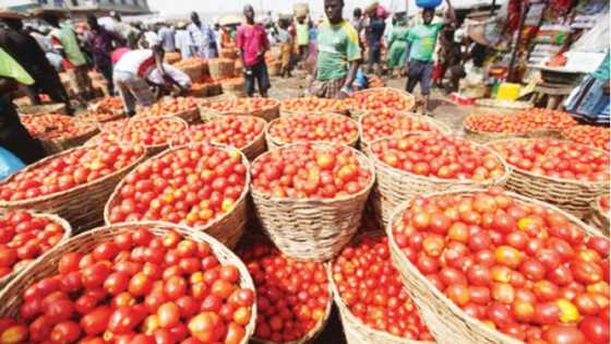 Farashin wasu kayan abinci sun fadi war-was a Kano ana daf da fara azumin Ramadan