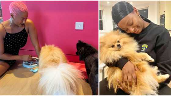 Find someone to put you in a family way, man tells DJ Cuppy, encourages her to be a single mum, she reacts
