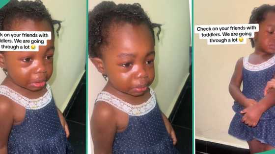 "I will do it again": After being punished for writing on the wall, baby girl vows to repeat offence