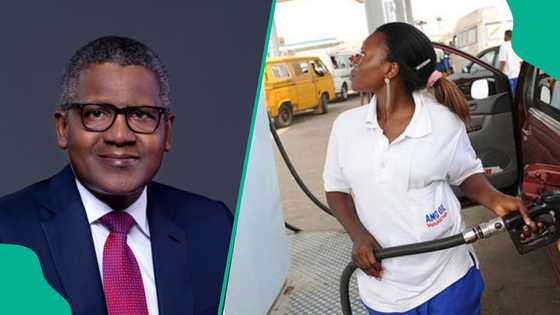 Dangote refinery stops selling discounted fuel as private depot slashes price