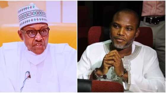 Secession: President Buhari finally reveals those sponsoring IPOB