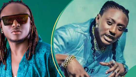 2023 election: Terry G calls out those who stole money meant for him after performing for APC