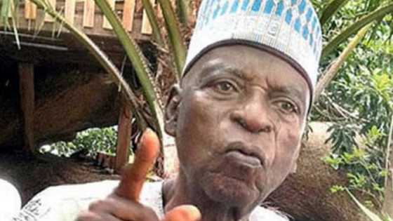 Dattijon arewa, Kwande, ya bayyana dalilin da zai sa shugaban kasa ya sake fitowa daga yankin