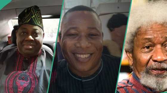 Dele Momodu, Soyinka, 7 people Sunday Igboho hailed after regaining freedom in Benin Republic