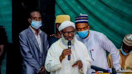 Greenfield: Sheikh Gumi opens up on when abducted students will be released