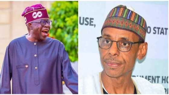 Dattawan Arewa Sun Yi Martani Kan Nadin Hakeem Baba-Ahmed Mukami, Sun Tura Sako Ga Tinubu