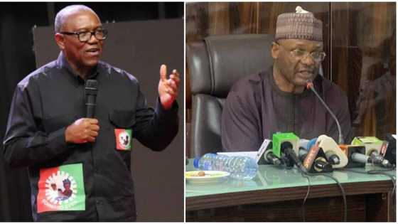 Election tribunal: Peter Obi’s lawyer discloses plan to expose INEC, gives reason