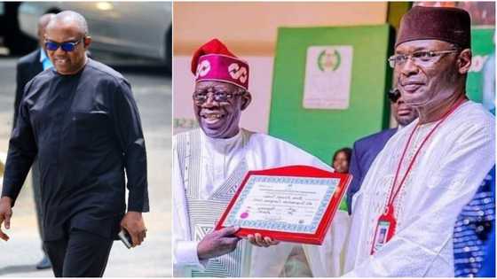 ‘An ambush’: INEC reacts as Peter Obi tenders 18,000 blurred IReV sheets to challenge Tinubu's victory