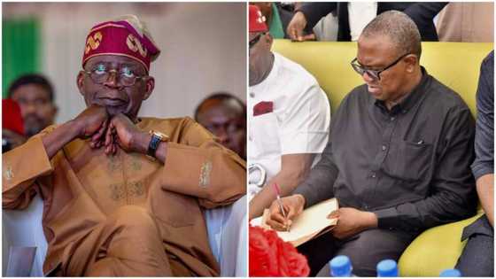 Manya-manyan Bukatu 5 Da Peter Obi Ya Mikawa Kotu Kan Shari'arsa Da Bola Tinubu