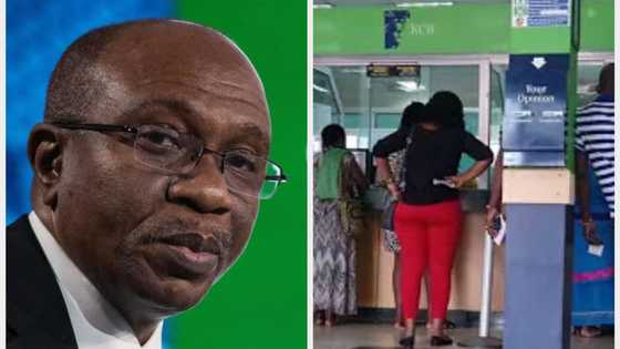 CBN bans withdrawal of new naira notes over the counter as cash withdrawal policy kicks off Monday