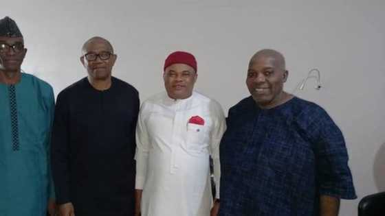 BREAKING: Labour Party picks Peter Obi's running mate, name revealed