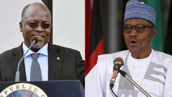Anti-corruption: Former APC chieftain urges Buhari to learn from Tanzanian president
