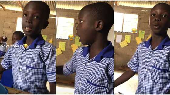 "Which school is this?" Student in uniform reports his classmate to teacher in Queen's English, video trends