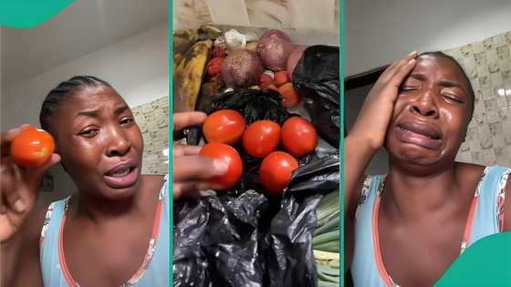 Corps member posted to Abuja in tears over cost of 5 pieces of tomatoes, mentions total amount