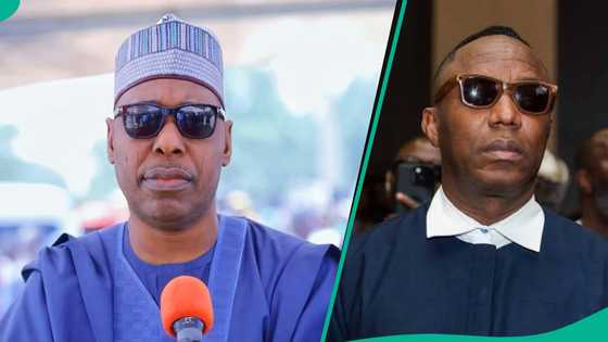 Zulum ya yi martani kan zargin Sowore game da abin da ke faruwa a Borno