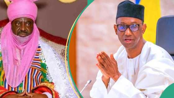 Ribadu yana kokarin dawo da Aminu Ado karfi da yaji kan karaga? an gano gaskiya