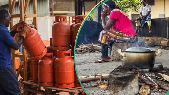 Cooking gas demand declines as Nigerians seek kerosene, charcoal, firewood alternatives