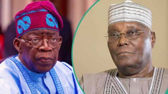 Chicago certificate saga: 4 things CSU documents show about Tinubu, Atiku’s lawyer reveals