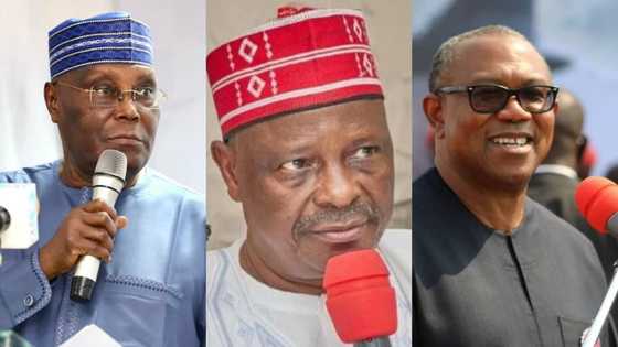 Atiku Reveals He’s in Talks With Kwankwaso, Peter Obi, Weeks Before 2023 Presidential Election