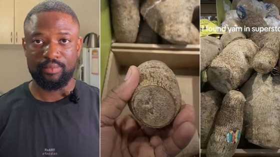"The price chased me home": Nigerian man sees yams for sale in Canada, flees market after hearing high cost