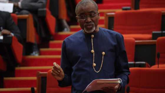 2023: President of Igbo extraction to replace Buhari non-negotiable, Senate minority leader declares