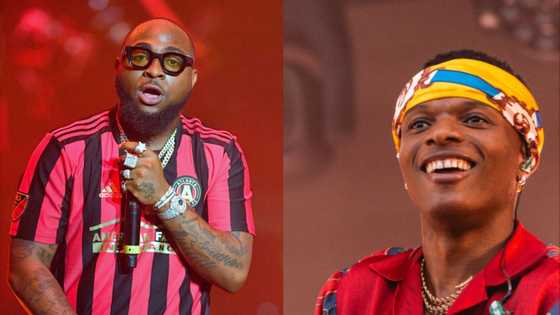 Wizkid and Davido's net worth: Who is the richest in 2024?