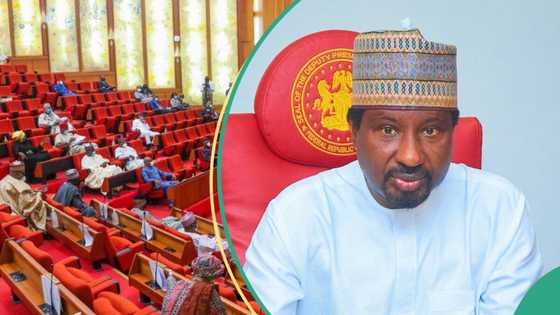 Sanatoci sun burge, sun ba da albashinsu gaba daya ga 'yan maulidin da harin soji ya shafa