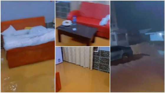 Hotel guests demand refund as rooms turn into 'swimming pool' after heavy downpour in video