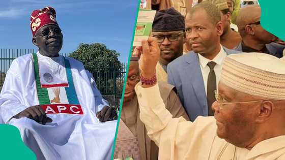 Tinubu vs Atiku: How much APC, ADC have made from presidential forms so far