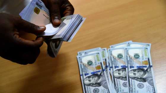 Naira climbs up 5 places on list of world's worst-performing currencies against US dollar