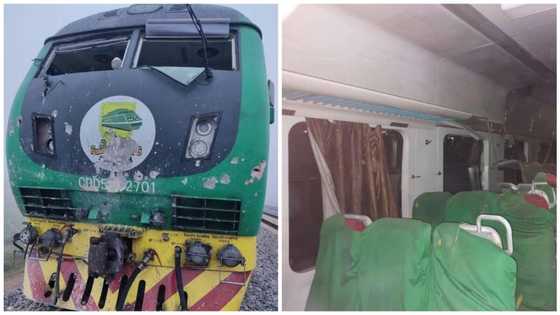 Abuja-Kaduna train: Full list of victims released by terrorists