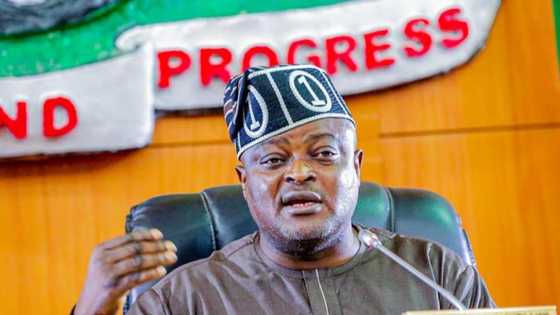 Anti-open grazing: Miyetti Allah sends crucial message to Lagos Govt